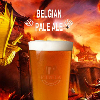 🍺 Belgian Pale Ale Kit All Grain 23 Litri