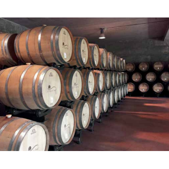 🍷 Porta Barriques Rotativo 225 Lt 5 File