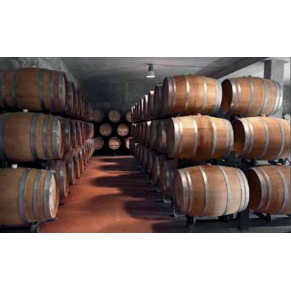 🍷 Porta Tonneaux a Parete 500 Lt