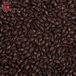 🍺 Muntons Black 5kg Malto Tostato Scuro