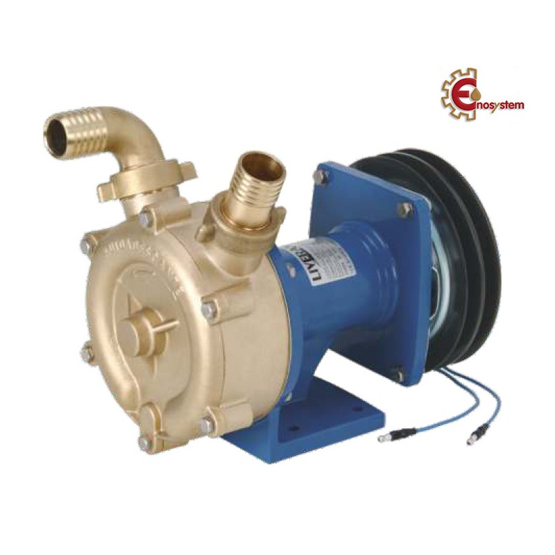 Pompa FM 30 Bronzo