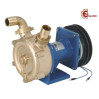 Pompa FM 30 Bronzo
