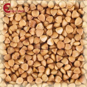 🍺 Malto Château Buckwheat 1 kg Grano Saraceno