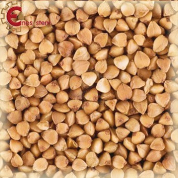 🍺 Malto Château Buckwheat 1 kg Grano Saraceno
