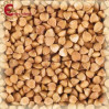 Malto Château Buckwheat 1 kg Malto Château Buckwheat 1 kg