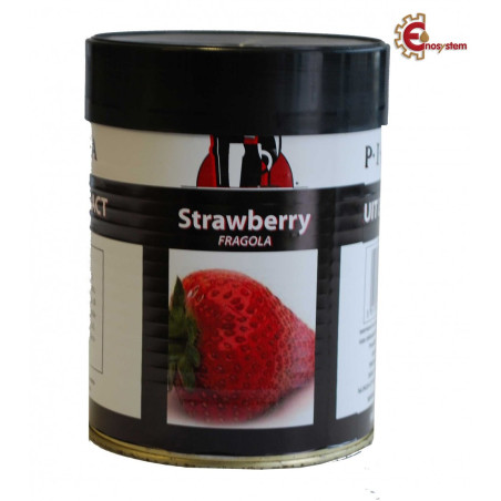🍓 Fruit Extract Pinta Fragola per Birra