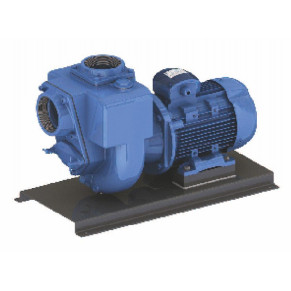 💧 Pompa Autoadescante Acque Cariche 4" – 96 m³/h